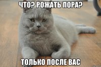 что? рожать пора? только после вас