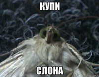 купи слона