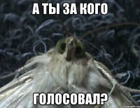 а ты за кого голосовал?