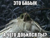 это бабык а чего добился ты?