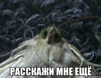  расскажи мне ещё