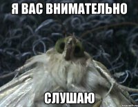я вас внимательно слушаю