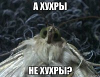 а хухры не хухры?