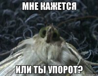 мне кажется или ты упорот?
