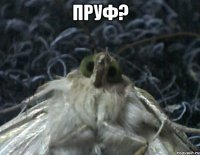 пруф? 