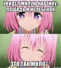 увидел милую картину: лошадь и жеребенок это так мило^^