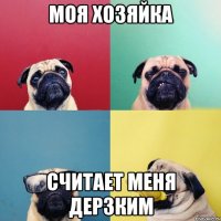 моя хозяйка считает меня дерзким