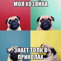 моя хозяйка знает толк в приколах