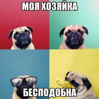 моя хозяйка бесподобна