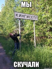 мы скучали