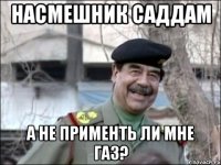 насмешник саддам а не применть ли мне газ?
