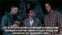 кас: я слетал на ферму в нормандии за помидорами, пшеницей и салатом. свинку я утешил, прежде чем зарезал я её. вот, подкрепите силы.
