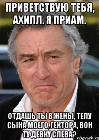 приветствую тебя, ахилл. я приам. отдашь ты в жены, телу сына моего, гектора, вон ту девку слева?