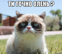 ти точно олень ? 