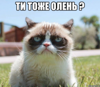ти тоже олень ? 
