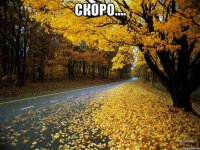 скоро.... 