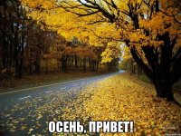  осень, привет!