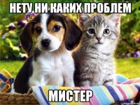 нету ни каких проблем мистер