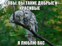 совы, вы такие добрые и красивыеღ я люблю вас