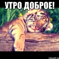 утро доброе! 