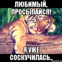 любимый, просыпайся! я уже соскучилась..