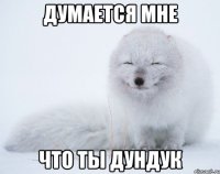 думается мне что ты дундук