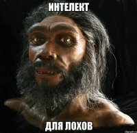интелект для лохов