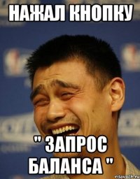 нажал кнопку " запрос баланса "