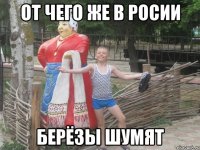 от чего же в росии берёзы шумят