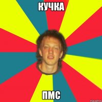 кучка пмс