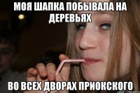 моя шапка побывала на деревьях во всех дворах приокского