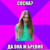 сосна? да она ж бревно
