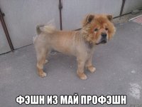  фэшн из май профэшн