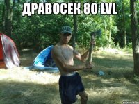 дравосек 80 lvl 