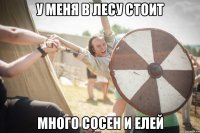 у меня в лесу стоит много сосен и елей