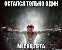 остался только один месяц лета