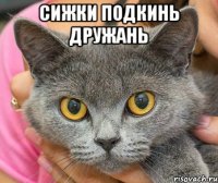 сижки подкинь дружань 