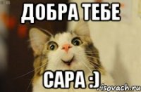 добра тебе сара :)