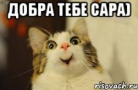добра тебе сара) 