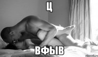 ц вфыв