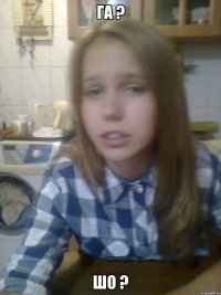 га ? шо ?