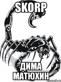 skorp дима матюхин