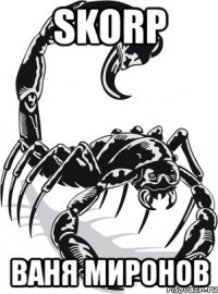 skorp ваня миронов