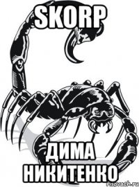 skorp дима никитенко