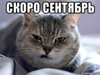 скоро сентябрь 