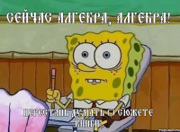 сейчас алгебра, алгебра! перестань думать о сюжете книги!