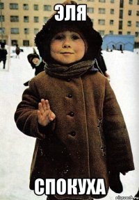 эля спокуха