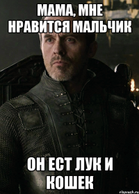 мама, мне нравится мальчик он ест лук и кошек