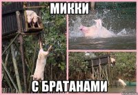микки с братанами