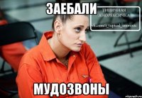 заебали мудозвоны